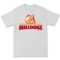 Dove Grey brooklyn college Premium Tee - linhVisuals