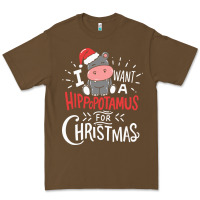 I Want Hippopotamus For Christmas Hippo Xmas Gift Premium Tee | Teevron