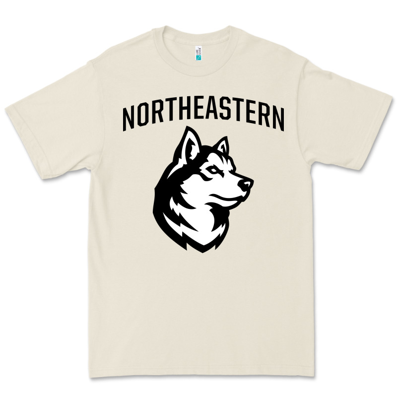 Northeastern Huskies Premium Tee by linhVisuals | Teevron