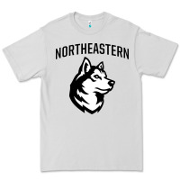 Dove Grey northeastern huskies Premium Tee - linhVisuals