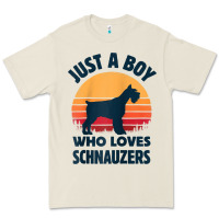 Bone schnauzer just a boy who loves dogs men retro vintage sunset raglan ba Premium Tee - linhVisuals
