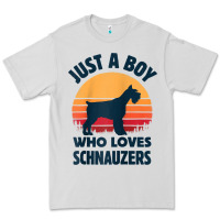 Dove Grey schnauzer just a boy who loves dogs men retro vintage sunset raglan ba Premium Tee - linhVisuals