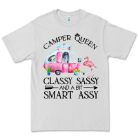 Dove Grey newcamper queen classy sassy and a bit smart assy Premium Tee - linhVisuals