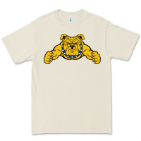 North Carolina A&t Aggies Premium Tee | Teevron