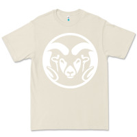 Bone colorado state rams Premium Tee - linhVisuals
