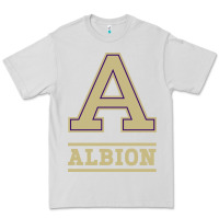 Dove Grey albion college athleticpurple Premium Tee - linhVisuals