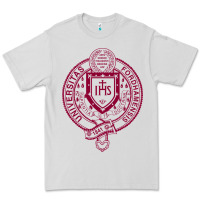 Dove Grey f0rdham university Premium Tee - linhVisuals
