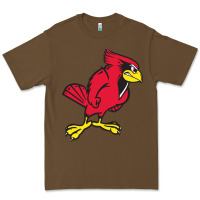 Cacao illinois state redbirds Premium Tee - linhVisuals