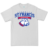 Dove Grey st. francis brooklyn terriers Premium Tee - linhVisuals