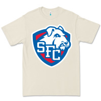 Bone st. francis brooklyn terriers Premium Tee - linhVisuals
