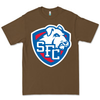 St. Francis Brooklyn Terriers Premium Tee | Teevron