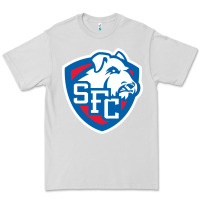 Dove Grey st. francis brooklyn terriers Premium Tee - linhVisuals