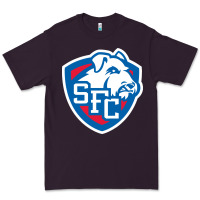 Plum st. francis brooklyn terriers Premium Tee - linhVisuals