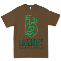 Cacao ul  university of limerick Premium Tee - linhVisuals