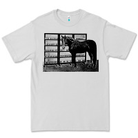 Dove Grey beautiful jim key  performing horse Premium Tee - linhVisuals