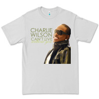 Dove Grey Charlie Wilson Premium Tee - linhVisuals