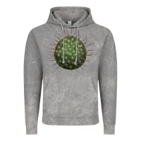 Cloud Rock arizona fishhook cactus Vintage Hoodie - LillyAllenDesigns