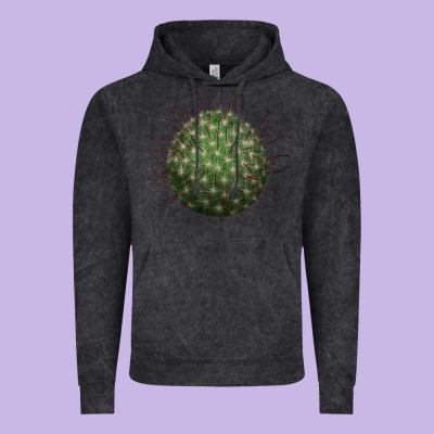 Arizona Fishhook Cactus Vintage Hoodie Designed By Lillyallendesigns