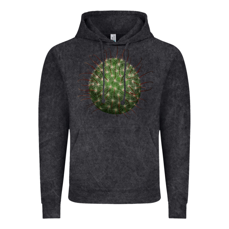 Arizona Fishhook Cactus Vintage Hoodie by LillyAllenDesigns | Teevron