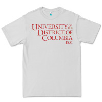 Dove Grey University of the District of Columbia Premium Tee - linhVisuals