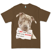 Cacao pitbull t  shirt i sit for you will you stand for me t  shirt Premium Tee - linhVisuals
