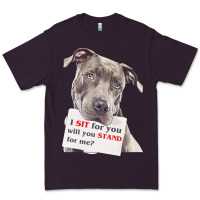 Plum pitbull t  shirt i sit for you will you stand for me t  shirt Premium Tee - linhVisuals