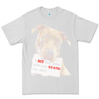 Dove Grey pitbull t  shirt i sit for you will you stand for me t  shirt Premium Tee - linhVisuals