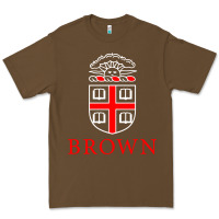 Cacao brown university Premium Tee - linhVisuals