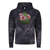 Cloud Black arizona fishhook cactus Vintage Hoodie - LillyAllenDesigns