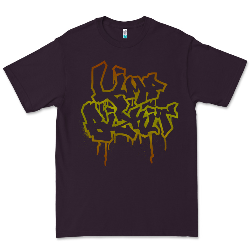 Limp Bizkit 20 Premium Tee by linhVisuals | Teevron
