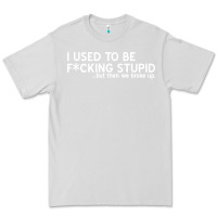Dove Grey i used to be f cking stupid Premium Tee - linhVisuals