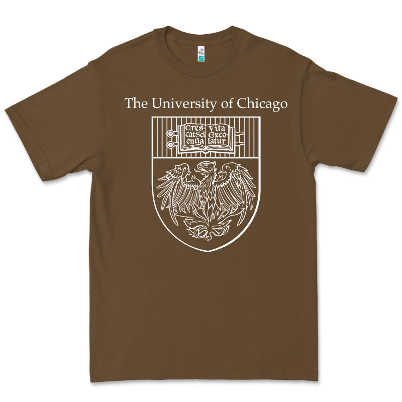 Chicago Premium Tee by linhVisuals | Teevron