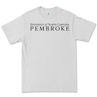 Dove Grey University of North Carolin Pembroke Premium Tee - linhVisuals