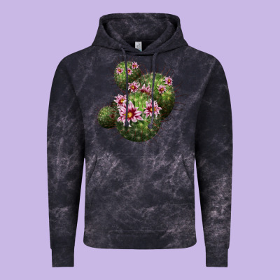 Arizona Fishhook Cacti Vintage Hoodie Designed By Lillyallendesigns