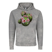 Cloud Rock arizona fishhook cacti Vintage Hoodie - LillyAllenDesigns