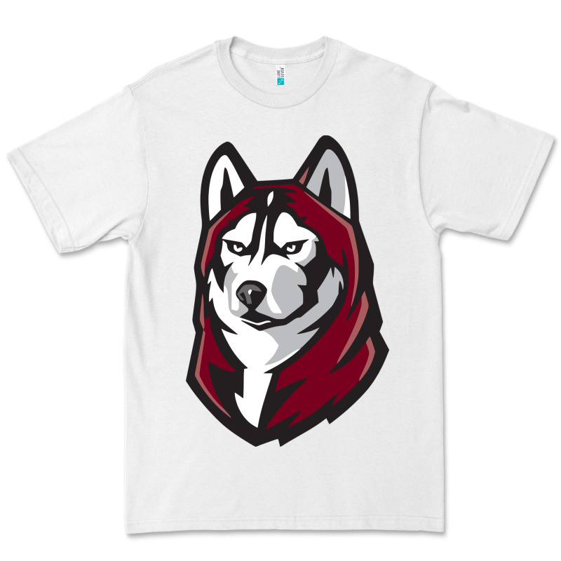 Bloomsburg Huskies Premium Tee by linhVisuals | Teevron