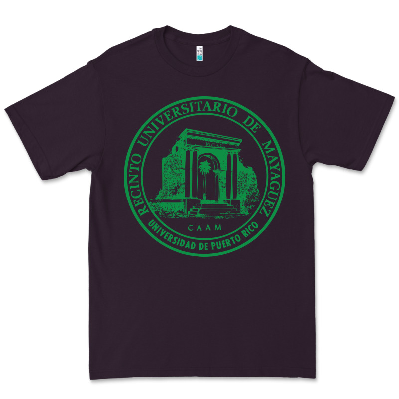 University Of Puerto Rico Mayagüez Premium Tee by linhVisuals | Teevron