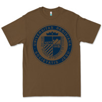 Cacao Regis University Premium Tee - linhVisuals