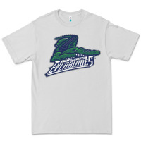 Dove Grey the-florida-everblades-merch Premium Tee - linhVisuals