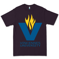Plum university of vincennes Premium Tee - linhVisuals