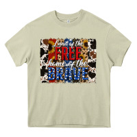 Land Of The Free  Th Of July Brushstroke Heavy Core Tee | Teevron