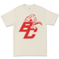 Bone boyd county high school baseball Premium Tee - linhVisuals