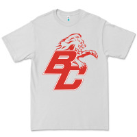 Dove Grey boyd county high school baseball Premium Tee - linhVisuals