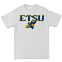 Dove Grey etsu buccaneers Premium Tee - linhVisuals