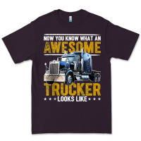 Plum awesome trucker big rig semi trailer truck driver gift men tank top Premium Tee - linhVisuals