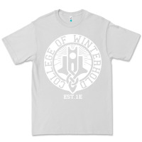 Dove Grey college of winterhold Premium Tee - linhVisuals