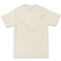 Bone flag of alaska Premium Tee - linhVisuals