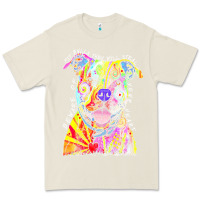 Bone pitbull t  shirt beware of pitbulls they will steal your heart t  shir Premium Tee - linhVisuals