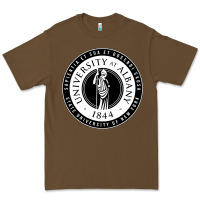 Cacao University Albany Suny Premium Tee - linhVisuals