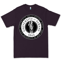 Plum University Albany Suny Premium Tee - linhVisuals